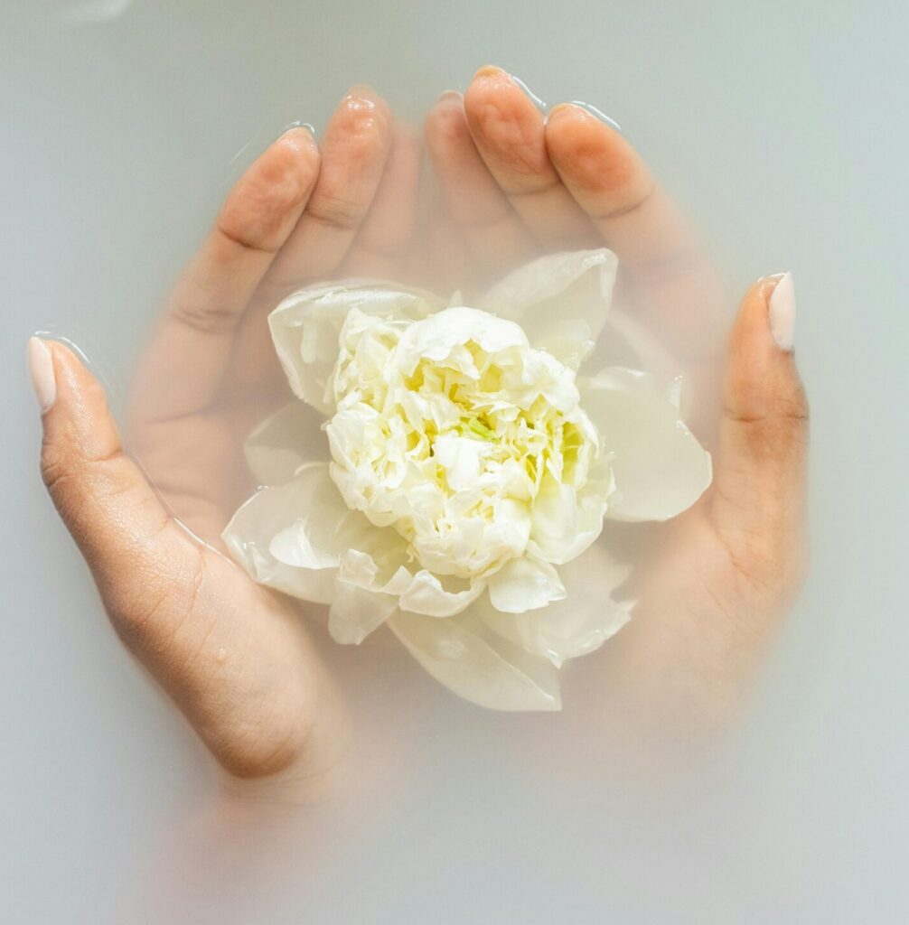 Unrecognizable female with soft manicured hands holding white flower with delicate petals in hands during spa procedures